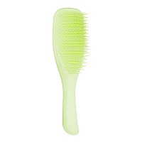 �������� The Ultimate Detangler Fine & Fragile (Cool Matcha)